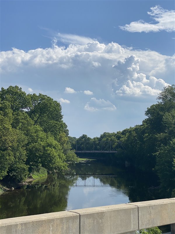 Burt - Burt 7-9-2020 (newer photo)